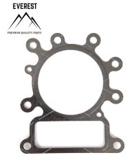 TESNENIE HLAVY BRIGGS&STRATTON 10KM-14KM OHV AVS EVEREST