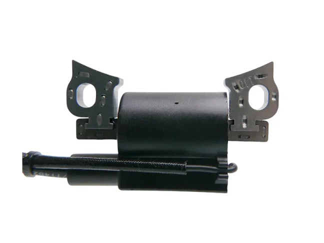 ND ZONGSHEN Ignition for engines NP100, NP150, MTD THORX, 100050145, 725-06488