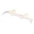 Vnější ozubený doraz pro řetězovou pilu STIHL MS 261, MS 341, MS 260, 1141 664 0501