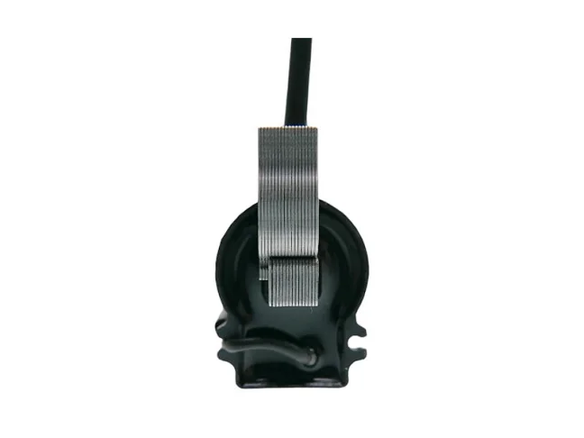 ND ZONGSHEN Ignition for engines NP100, NP150, MTD THORX, 100050145, 725-06488