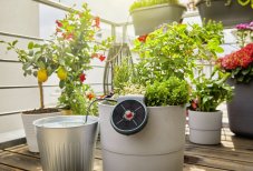 Solárne zavlažovanie GARDENA AquaBloom - súprava 13300-20 (3a)