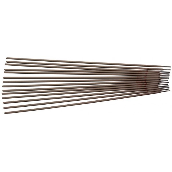 Electrodes 2.5/350mm in a PVC box by GUDE
